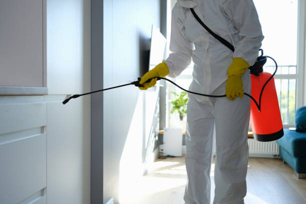 Best Certified Mold Removal  in Frankfort, MI